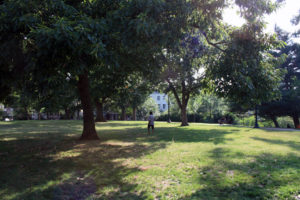 The grassy oval at the center of Kalorama Park. (Photo by Mary Belcher)
